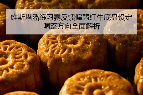 维斯塔潘练习赛反馈偏弱红牛底盘设定调整方向全面解析